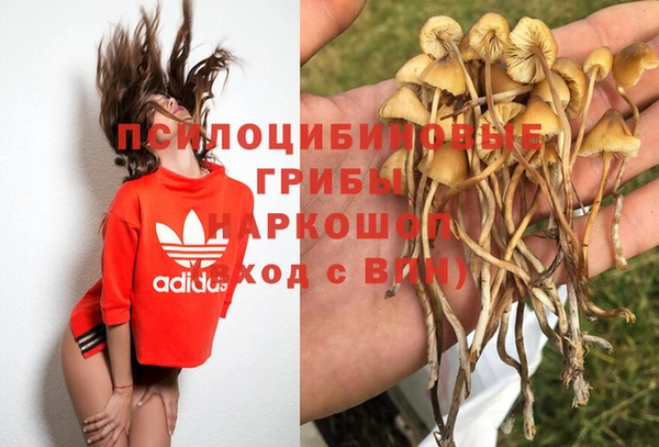 MESCALINE Гусев