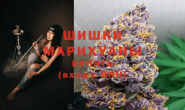 стафф Горнозаводск