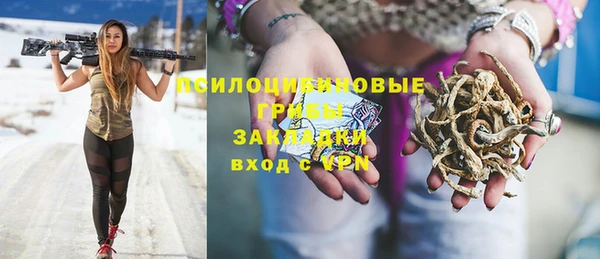 стафф Горнозаводск